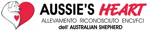 Aussie's Heart