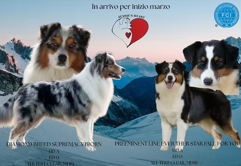 Cucciolate